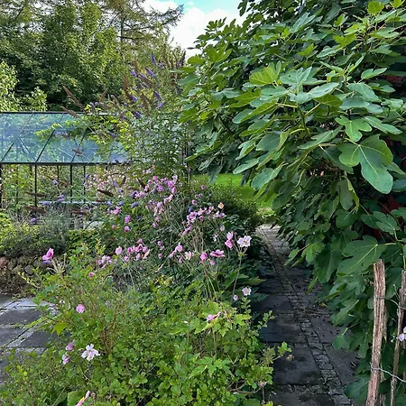 بيت للعطل Idyllic House By Mosso