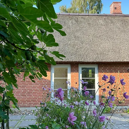 Idyllic House By Mosso
